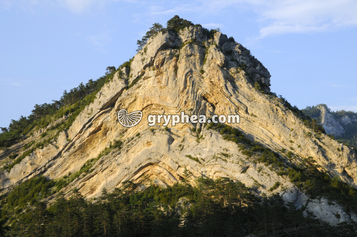 Pli de St Julien en Beauchêne (Drôme) - Plissement - gryphea.com